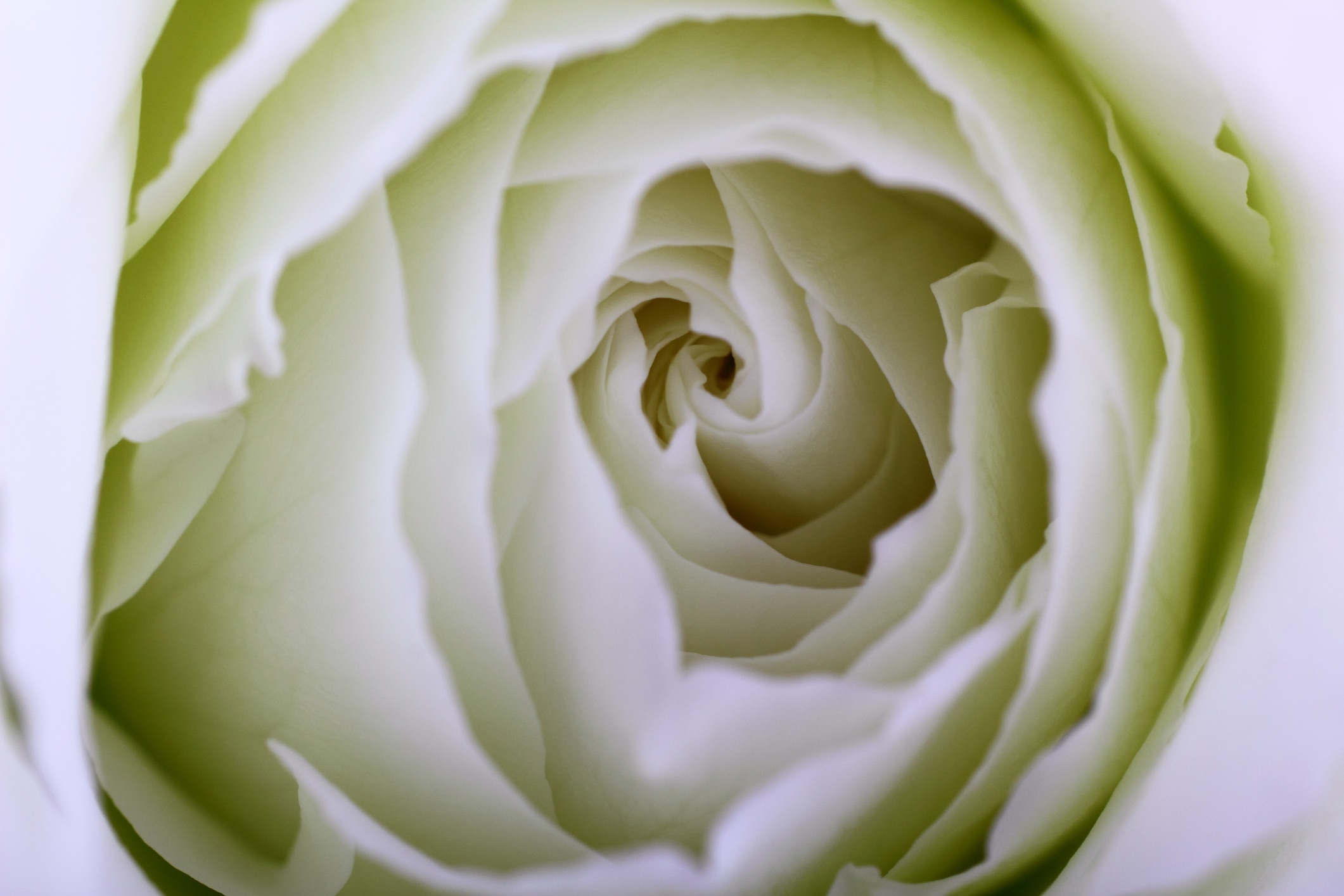 Ta vare på underlivets bakterieflora
